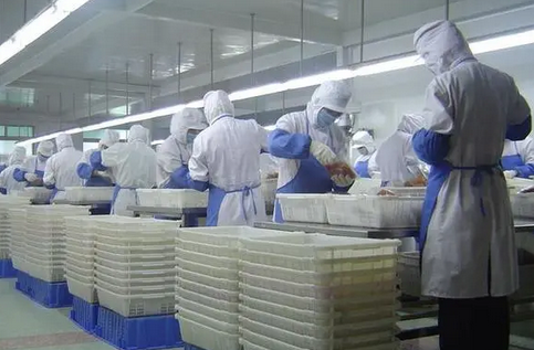 食品車間 食品車間