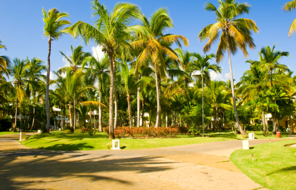 公園弱電智能化系統(tǒng)工程方案提升公園的管理效率、游客體驗(yàn)